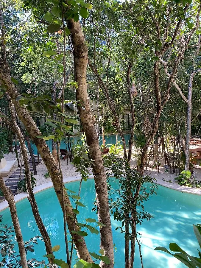 아파트 Jungle View 2Bed 2Bath Condo/ Wi-Fi/ Pool/ Gym 툴룸 멕시코