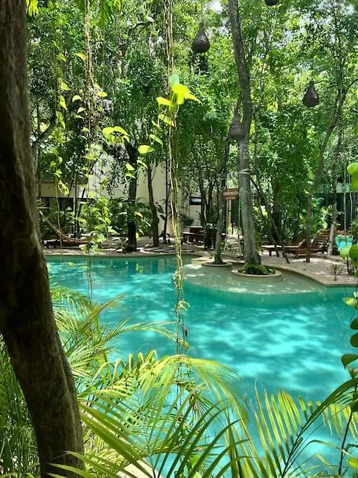 아파트 Jungle View 2Bed 2Bath Condo/ Wi-Fi/ Pool/ Gym 툴룸 멕시코