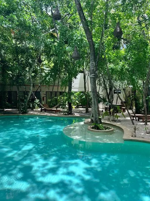 Jungle View 2Bed 2Bath Condo/ Wi-Fi/ Pool/ Gym 툴룸